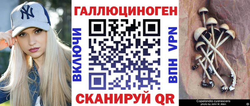 Псилоцибиновые грибы мицелий  купить наркоту  Краснозаводск 